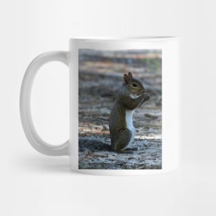 Little Squirrel Mug